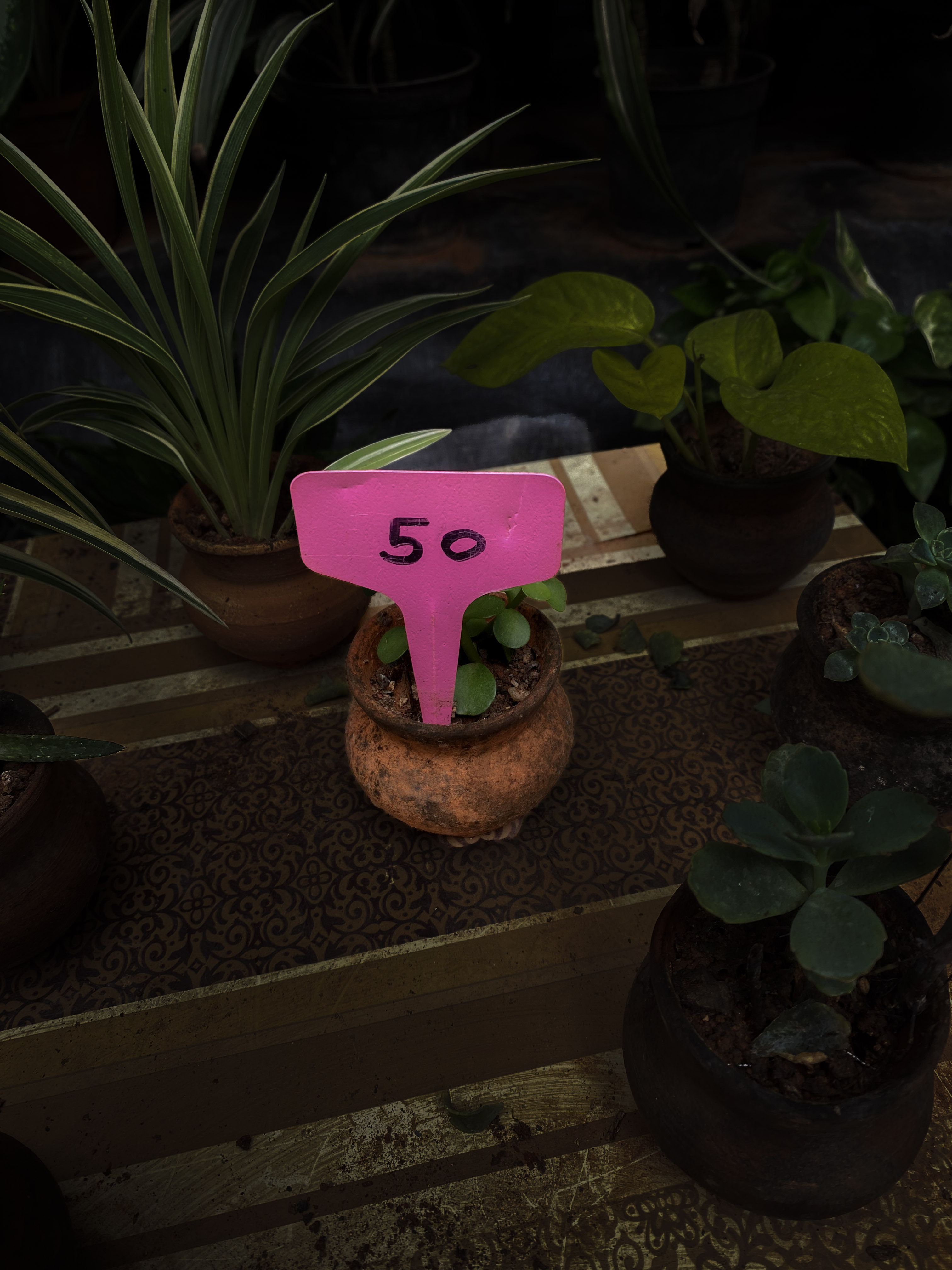 After - Flower (edited)